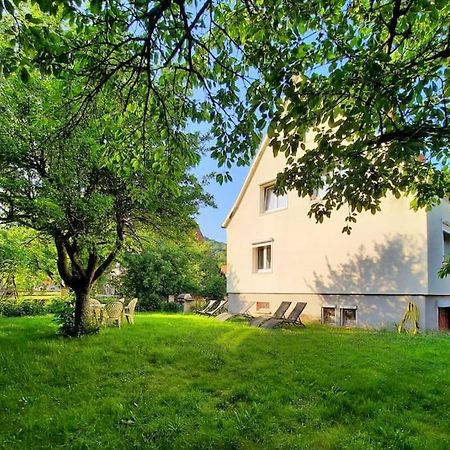 Rooms 4 Persons Kaysersberg Kaysersberg-Vignoble Exterior foto