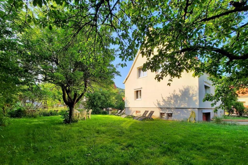 Rooms 4 Persons Kaysersberg Kaysersberg-Vignoble Exterior foto